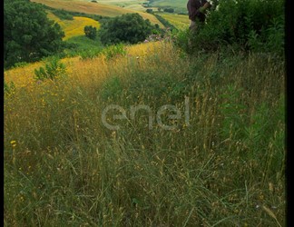 Monitoraggio ambientale nelle aree limitrofe alla centrale e tecnico