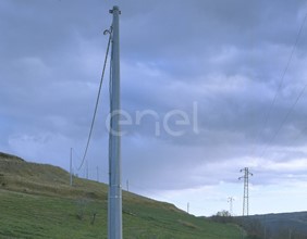 Palo MT
