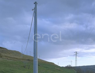 Palo MT