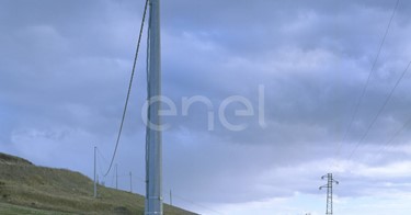 Palo MT