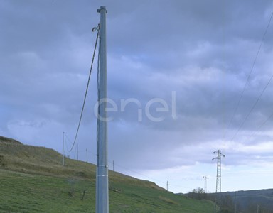 Palo MT