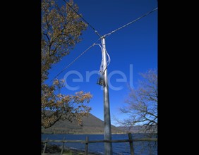 Palo e cavo precordato