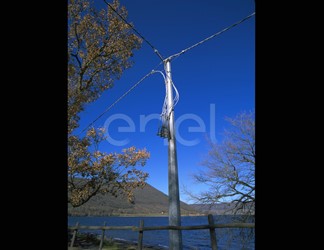 Palo e cavo precordato