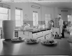 Cucine e cuoco