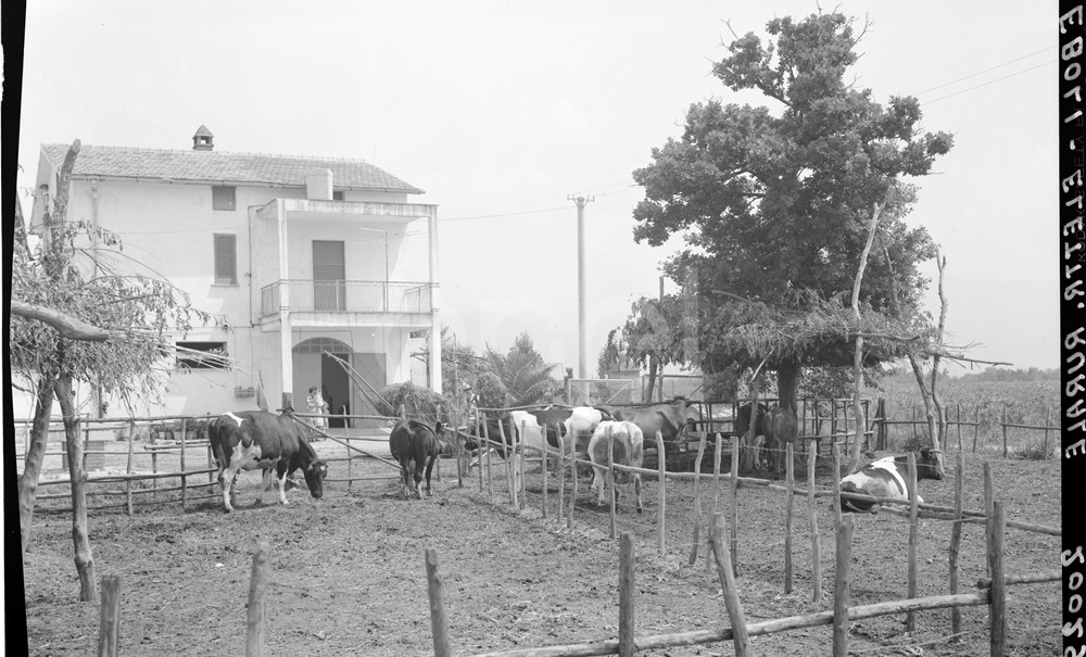 Elettrificazione rurale di Eboli