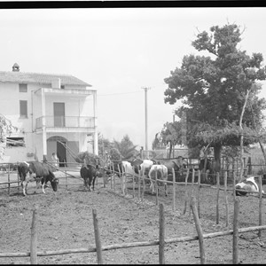 Elettrificazione rurale di Eboli
