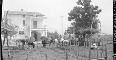 Elettrificazione rurale di Eboli