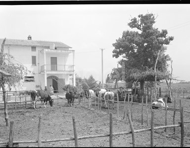 Elettrificazione rurale di Eboli