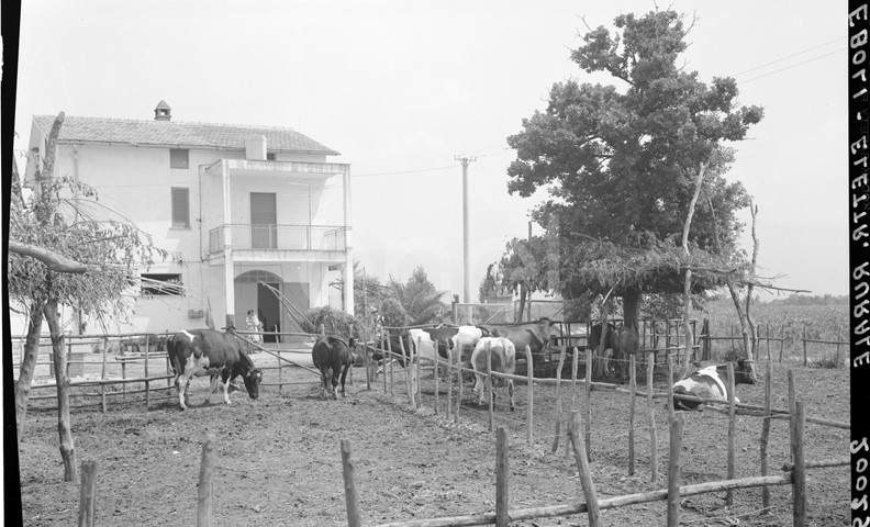 Elettrificazione rurale di Eboli