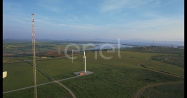 Campo eolico