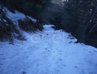 Paesaggio montano con cavo interrato