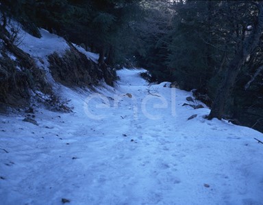 Paesaggio montano con cavo interrato