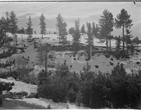 Paesaggio innevato