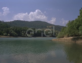 Bacino