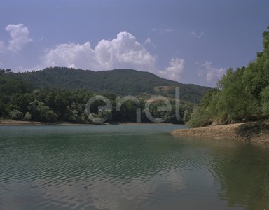 Bacino