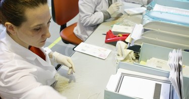 Impiegati al lavoro nel reparto 'Preparazione digitalizzazione' di documenti
