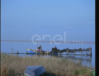 Stagno e pescatori