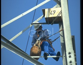 Operaio, traliccio, nido artificiale