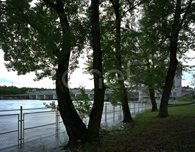 Sbarramento, centrale, alberi