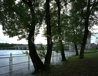 Sbarramento, centrale, alberi
