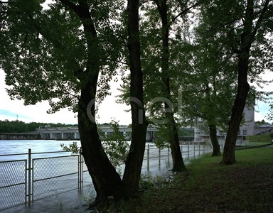 Sbarramento, centrale, alberi