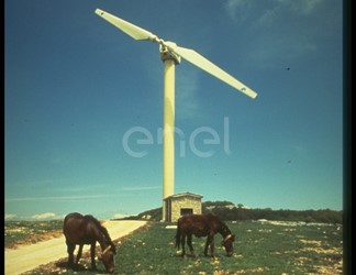Aerogeneratore e cavalli
