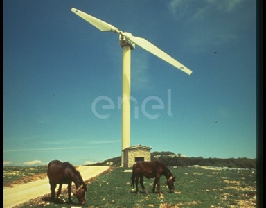 Aerogeneratore e cavalli