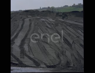Carbonile
