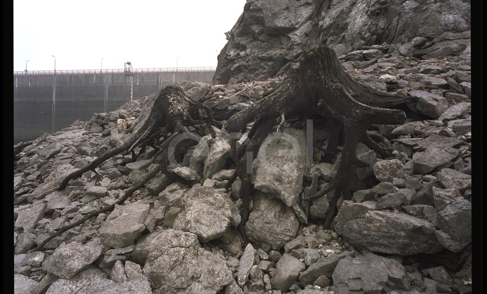 Diga, rocce e radici
