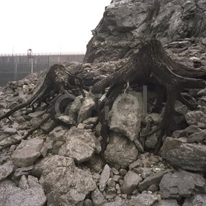 Diga, rocce e radici