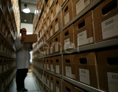 Operatore dell'archivio ordina la documentazione negli armadi mobili compattabili