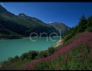 Lago