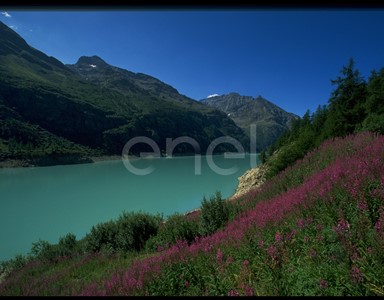 Lago
