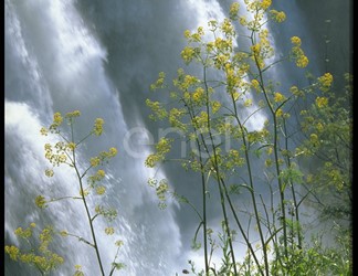 Cascata delle Marmore